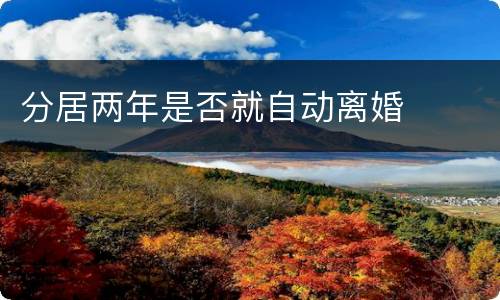 分居两年是否就自动离婚