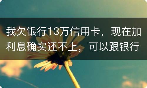 我欠银行13万信用卡，现在加利息确实还不上，可以跟银行申请停止利息只还本金吗
