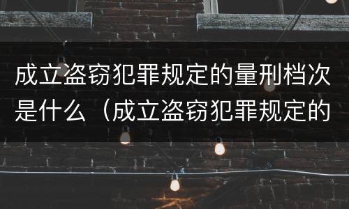 成立盗窃犯罪规定的量刑档次是什么（成立盗窃犯罪规定的量刑档次是什么）