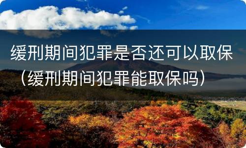 缓刑期间犯罪是否还可以取保（缓刑期间犯罪能取保吗）