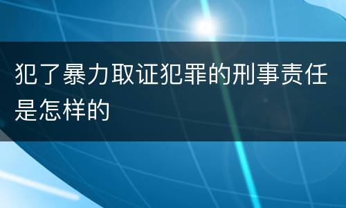 犯了暴力取证犯罪的刑事责任是怎样的