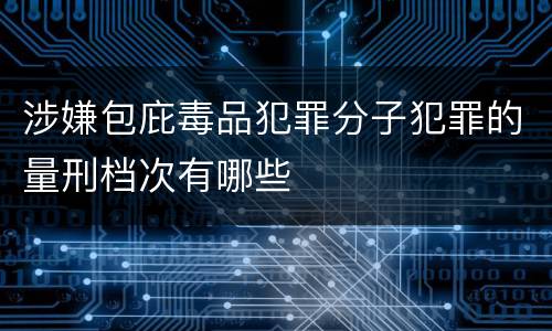 涉嫌包庇毒品犯罪分子犯罪的量刑档次有哪些