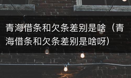 青海借条和欠条差别是啥（青海借条和欠条差别是啥呀）