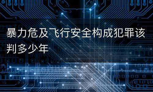 暴力危及飞行安全构成犯罪该判多少年