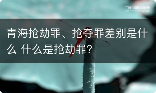 青海抢劫罪、抢夺罪差别是什么 什么是抢劫罪?