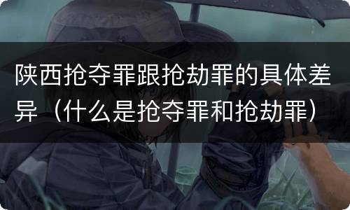 陕西抢夺罪跟抢劫罪的具体差异（什么是抢夺罪和抢劫罪）