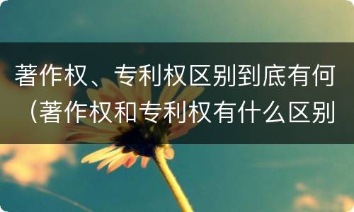 著作权、专利权区别到底有何（著作权和专利权有什么区别）