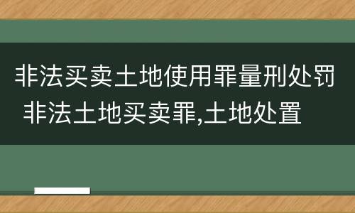 非法买卖土地使用罪量刑处罚 非法土地买卖罪,土地处置