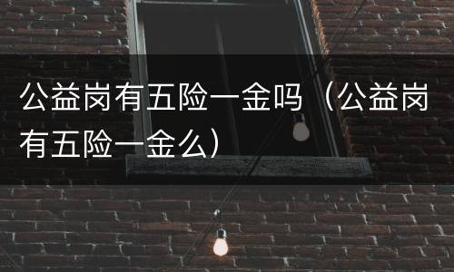 公益岗有五险一金吗（公益岗有五险一金么）