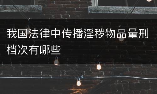 我国法律中传播淫秽物品量刑档次有哪些