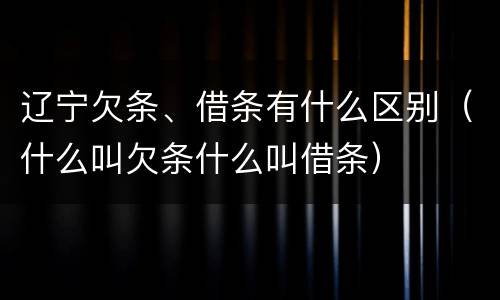 辽宁欠条、借条有什么区别（什么叫欠条什么叫借条）