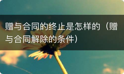 赠与合同的终止是怎样的（赠与合同解除的条件）