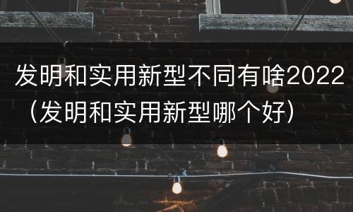 发明和实用新型不同有啥2022（发明和实用新型哪个好）