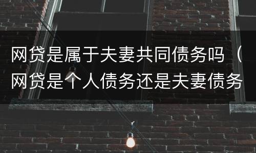 网贷是属于夫妻共同债务吗（网贷是个人债务还是夫妻债务）
