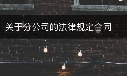 关于分公司的法律规定合同