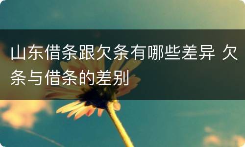 山东借条跟欠条有哪些差异 欠条与借条的差别