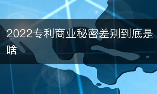2022专利商业秘密差别到底是啥