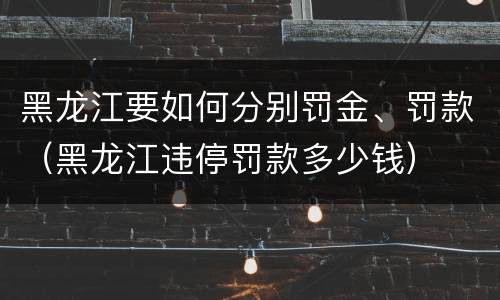 黑龙江要如何分别罚金、罚款（黑龙江违停罚款多少钱）