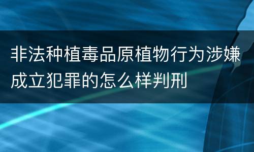 非法种植毒品原植物行为涉嫌成立犯罪的怎么样判刑