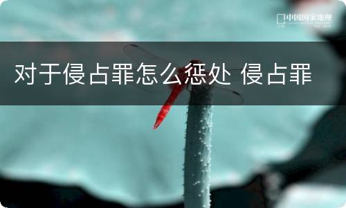 对于侵占罪怎么惩处 侵占罪