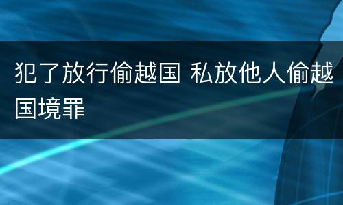 犯了放行偷越国 私放他人偷越国境罪