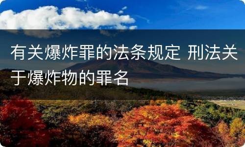 有关爆炸罪的法条规定 刑法关于爆炸物的罪名