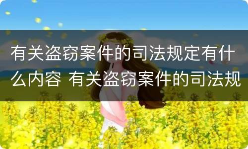 有关盗窃案件的司法规定有什么内容 有关盗窃案件的司法规定有什么内容呢