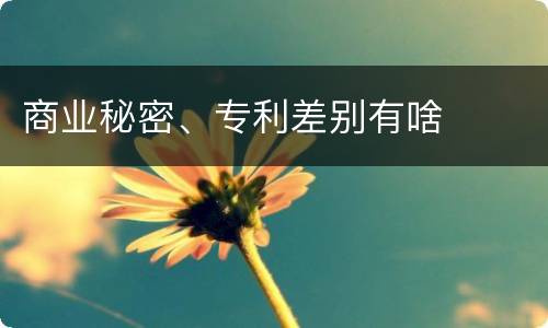 商业秘密、专利差别有啥