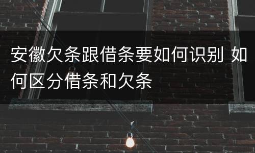安徽欠条跟借条要如何识别 如何区分借条和欠条