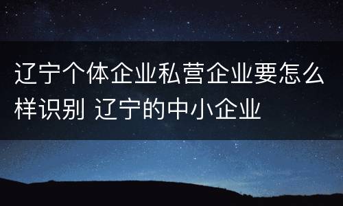辽宁个体企业私营企业要怎么样识别 辽宁的中小企业