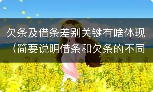 欠条及借条差别关键有啥体现（简要说明借条和欠条的不同之处）