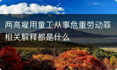 两高雇用童工从事危重劳动罪相关解释都是什么