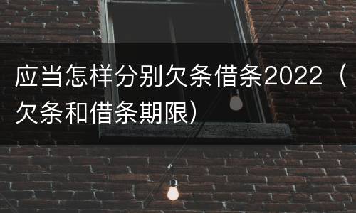 应当怎样分别欠条借条2022（欠条和借条期限）