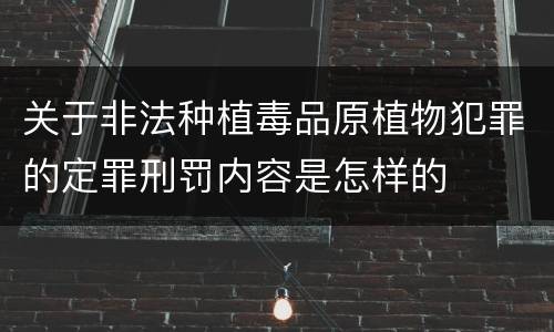 关于非法种植毒品原植物犯罪的定罪刑罚内容是怎样的