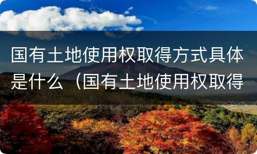 国有土地使用权取得方式具体是什么（国有土地使用权取得方式具体是什么）