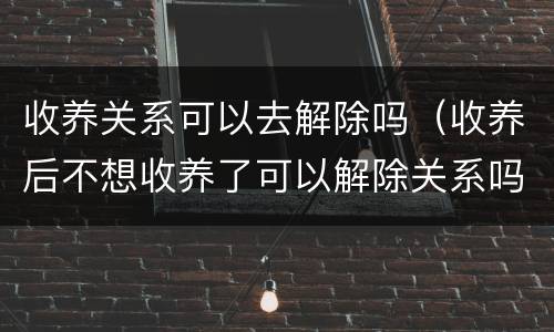 收养关系可以去解除吗（收养后不想收养了可以解除关系吗）
