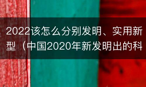 2022该怎么分别发明、实用新型（中国2020年新发明出的科技）