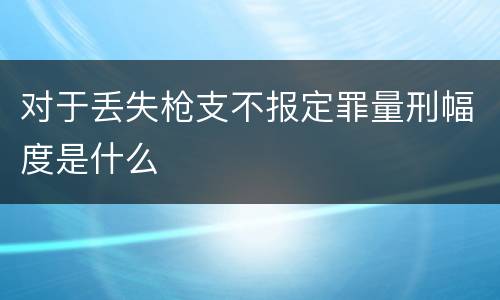 对于丢失枪支不报定罪量刑幅度是什么