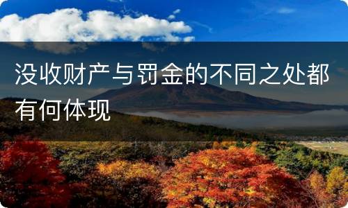 没收财产与罚金的不同之处都有何体现