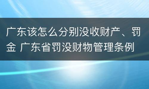 广东该怎么分别没收财产、罚金 广东省罚没财物管理条例