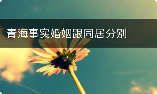 青海事实婚姻跟同居分别