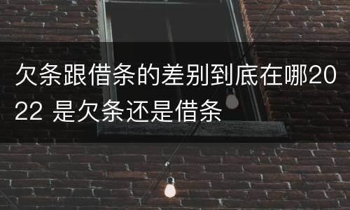 欠条跟借条的差别到底在哪2022 是欠条还是借条
