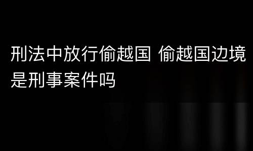 刑法中放行偷越国 偷越国边境是刑事案件吗