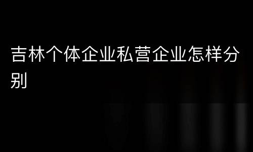 吉林个体企业私营企业怎样分别