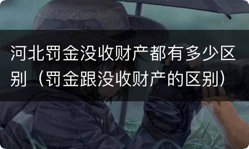河北罚金没收财产都有多少区别（罚金跟没收财产的区别）