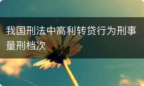 我国刑法中高利转贷行为刑事量刑档次