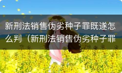 新刑法销售伪劣种子罪既遂怎么判（新刑法销售伪劣种子罪既遂怎么判刑）