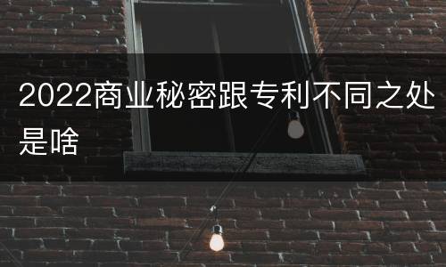 2022商业秘密跟专利不同之处是啥