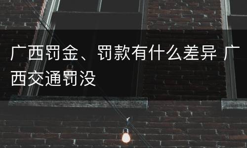 广西罚金、罚款有什么差异 广西交通罚没