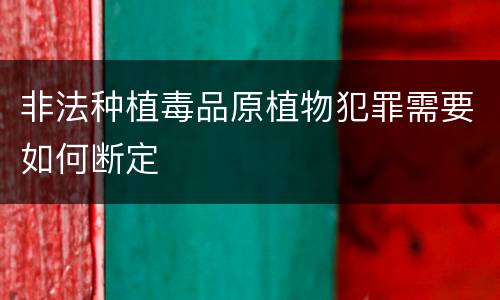非法种植毒品原植物犯罪需要如何断定